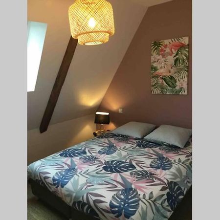 Appartement Dans Maison De 1789 Au Centre De Vitre Ngoại thất bức ảnh